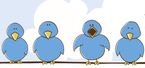 birds