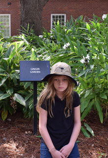 garden Gingers