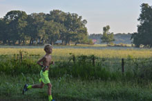 Gavin2 1200x800