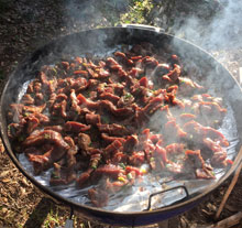 everyday-grilled-beeftips